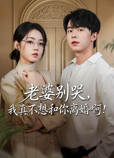 老婆别哭,我真不想和你离婚啊!封面